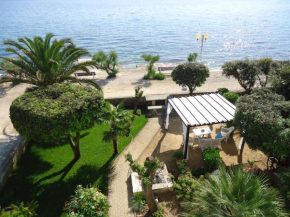 Guesthouse Lisica